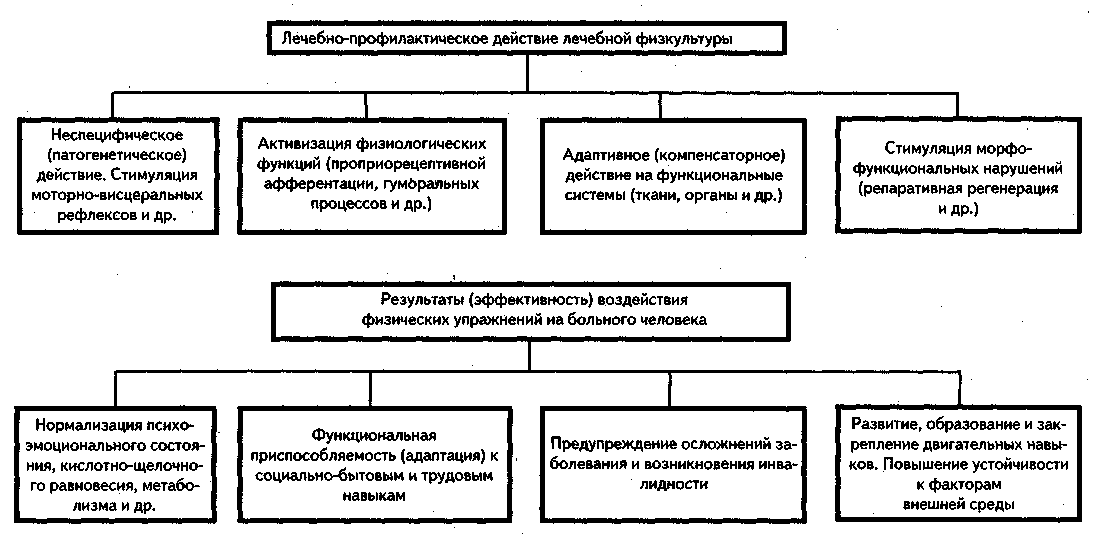физические упражнения сжигания жира на животе физические упражнения сжигания жира на животе